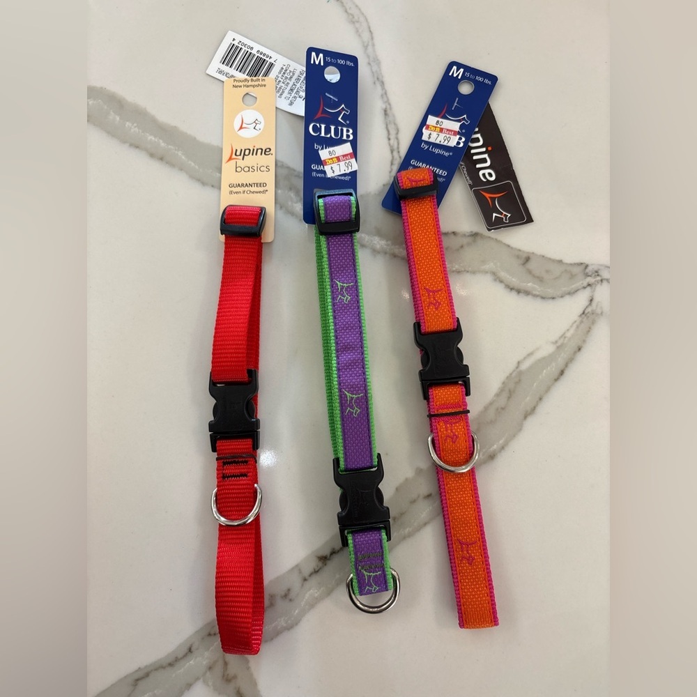 Lupine Basics Dog Collar Set